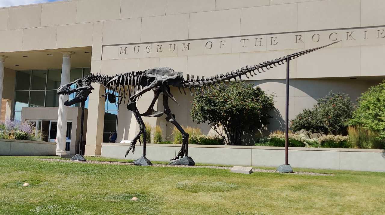 Rex Marks the Spot: Discovering Treasures at the Museum of the Rockies