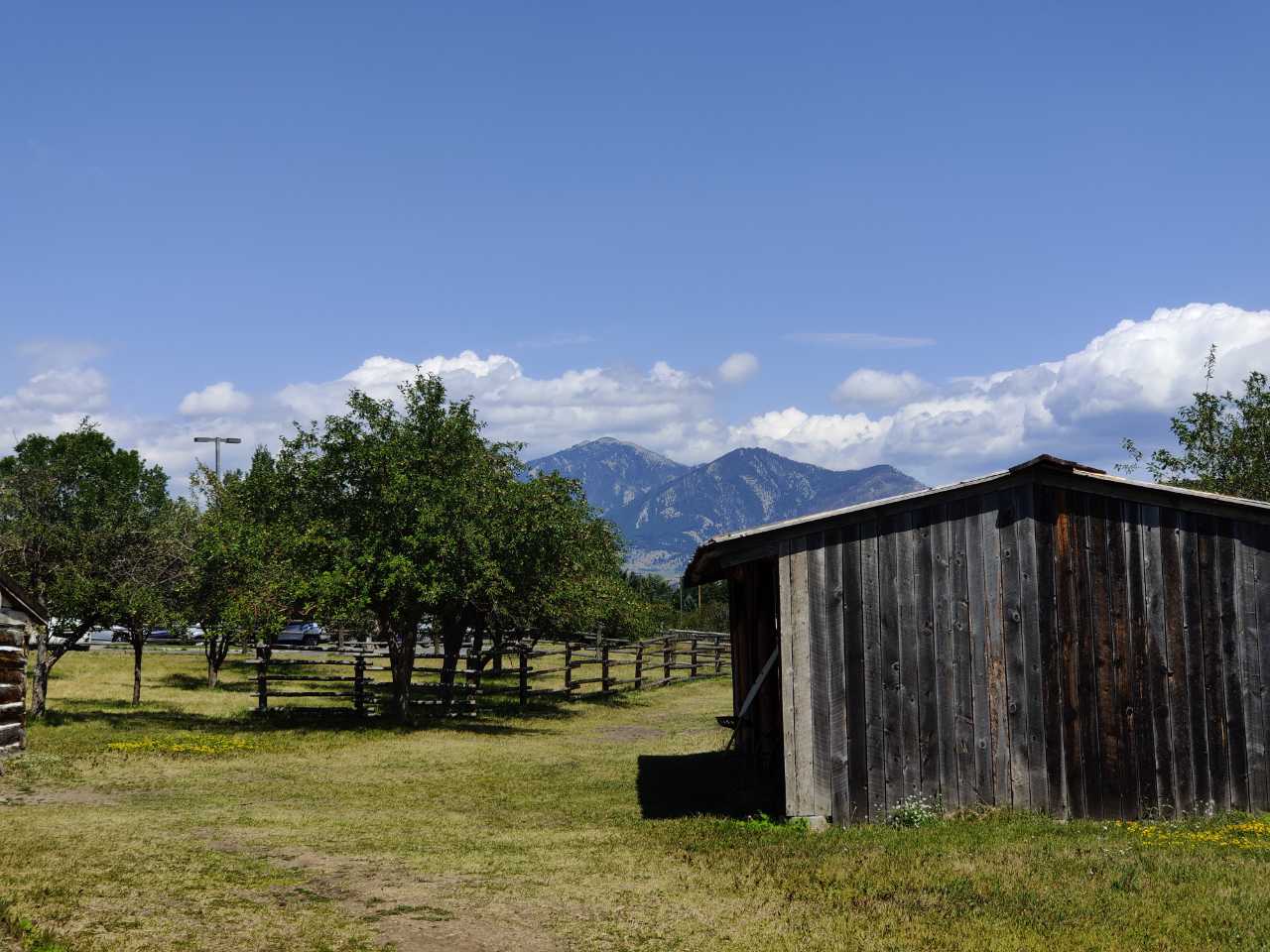 Rex Marks the Spot: Discovering Treasures at the Museum of the Rockies