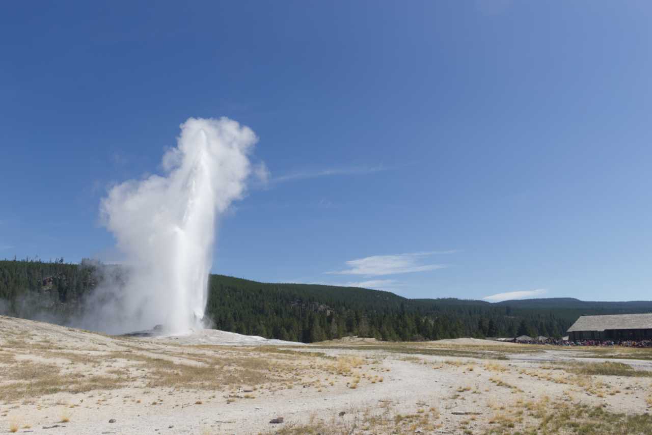 Old Faithful geyser in Yellowstone National Park