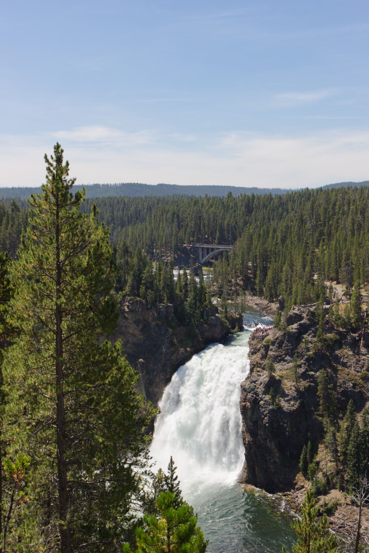 Upper Canyon Falls in Yellowstone National Park