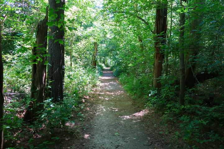 Trail from the Upper to Lower Cataract Falls in Indiana