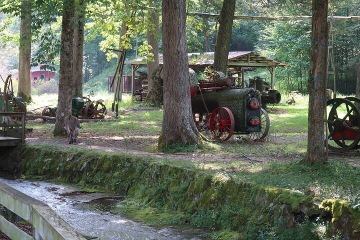 Cool Springs Park in West Virginia has a collection of old equipment and a few farm animals