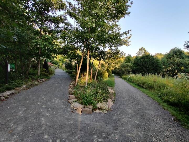 Paths in West Virginia Botanic Gardens