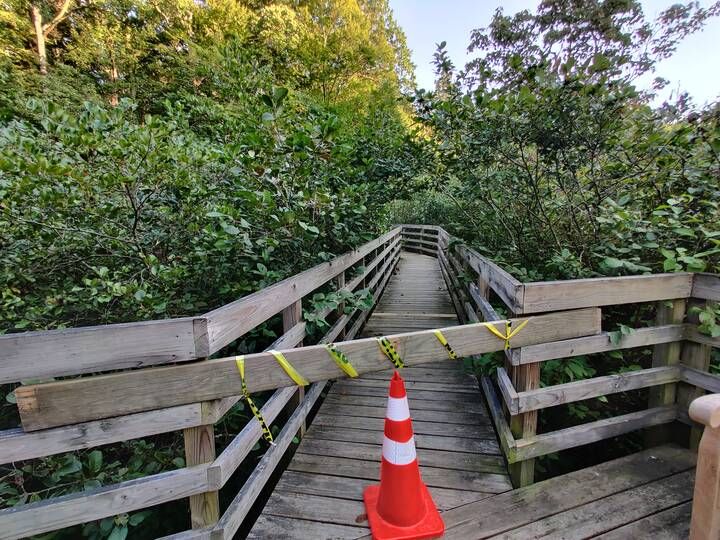 Closed Wetlands Boardwalk in West Virginia Botanic Gardens