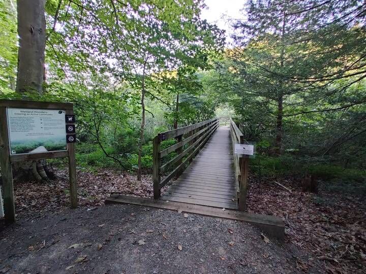 Wetlands Boardwalk in West Virginia Botanic Gardens