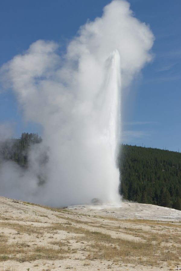 Yellowstone National Park